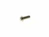 Front Disc Rotor Bolts - Polished Stainless 12 Point. 10x 5/16in.-18 x 1.0in.. Fits Most HD models 1984up.