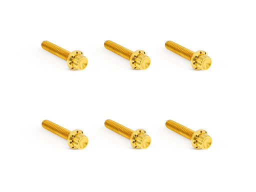 Titanium 12-Point Transmission Side Cover Bolt Kit - Gold. Fits Touring 2024up & Softail 2025up