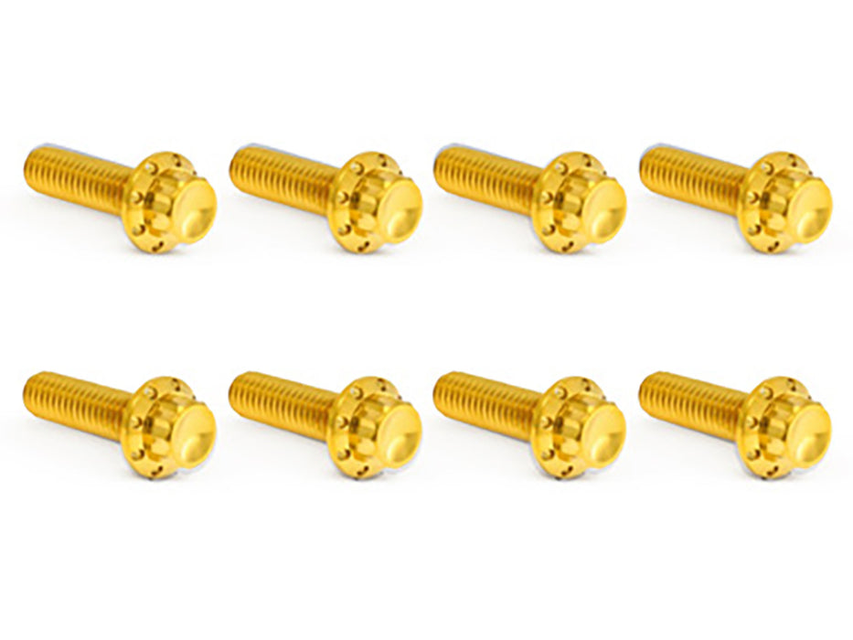 Titanium 12-Point Transmission Trap Door Cover Bolt Kit - Gold. Fits Touring 2017up & Softail 2018up