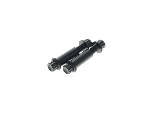 Titanium 12-Point Footpeg Mounting Hardware - Black. Fits H-D Male Mount Footpegs