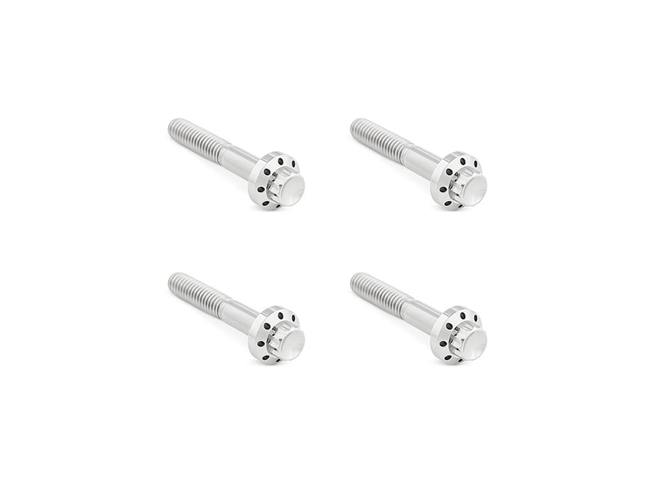 Titanium 12-Point Front Fender Mounting Hardware - Polished. Fits Touring 2009up.