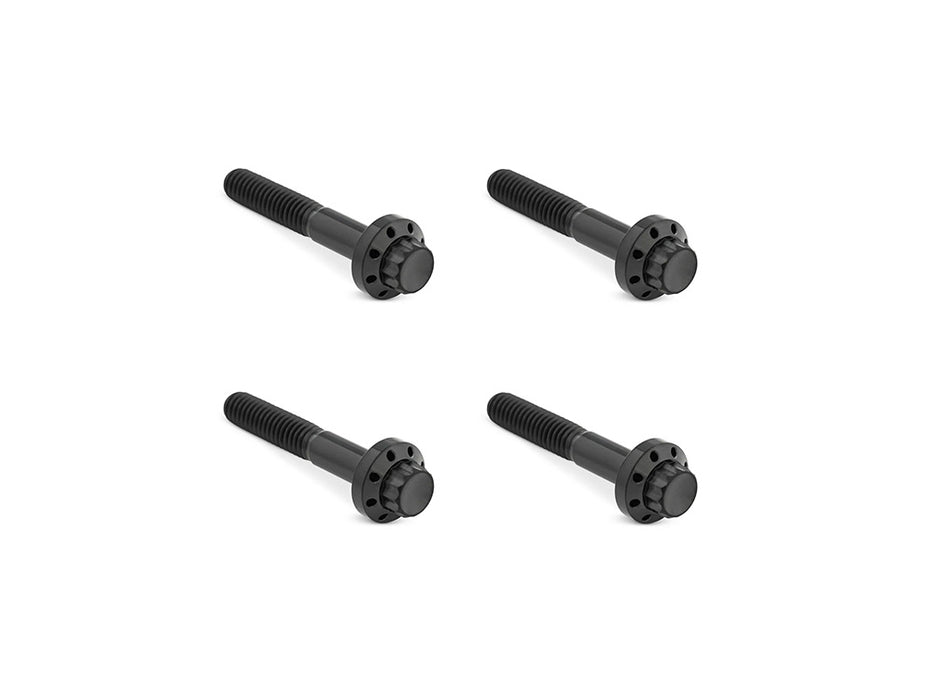 Titanium 12-Point Front Fender Mounting Hardware - Black. Fits Touring 2009up.
