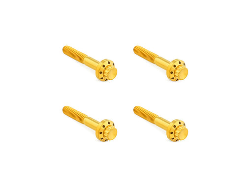 Titanium 12-Point Front Fender Mounting Hardware - Gold. Fits Touring 2009up.