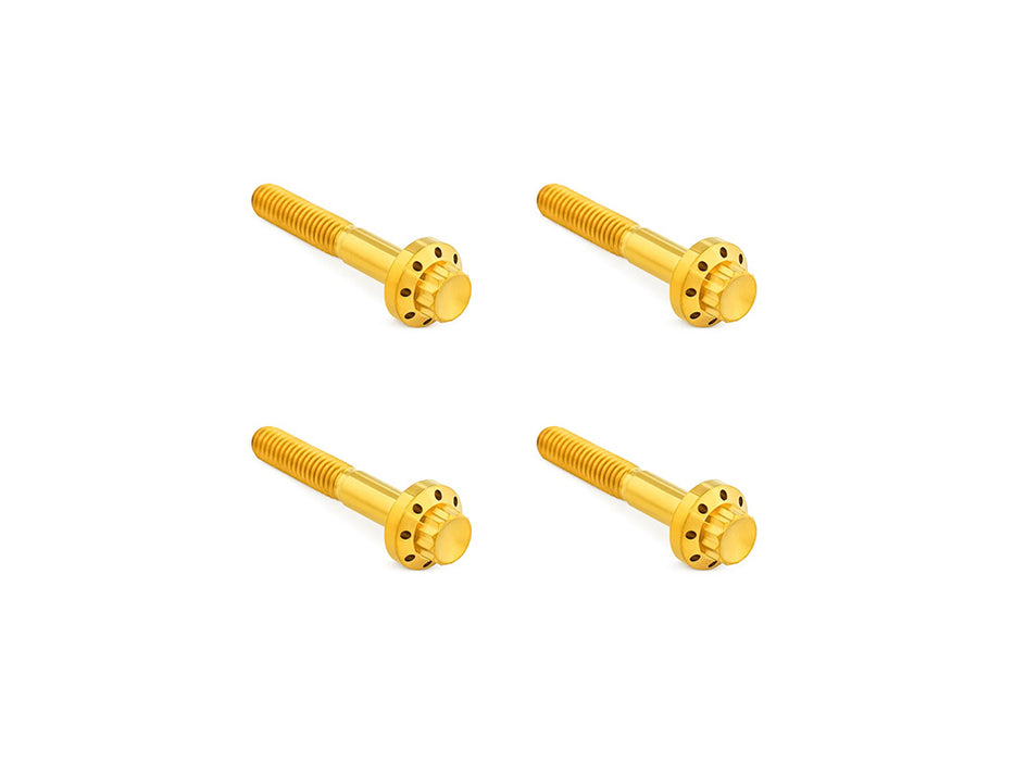 Titanium 12-Point Front Fender Mounting Hardware - Gold. Fits Touring 2009up.