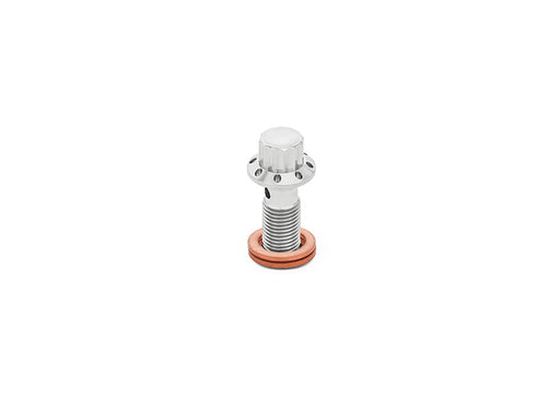 Titanium 12-Point 3/8in. Banjo Bolt - Polished