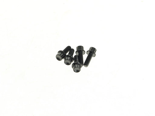 Titanium 12-Point Derby Cover Bolt Kit - Black. Fits Softail 2018up