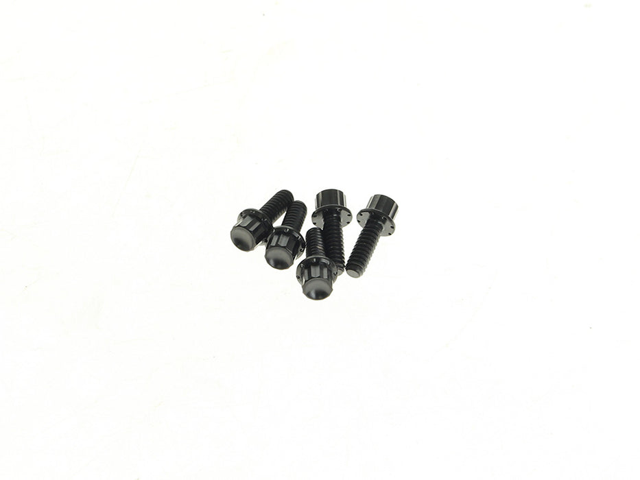 Titanium 12-Point Derby Cover Bolt Kit - Black. Fits Softail 2018up