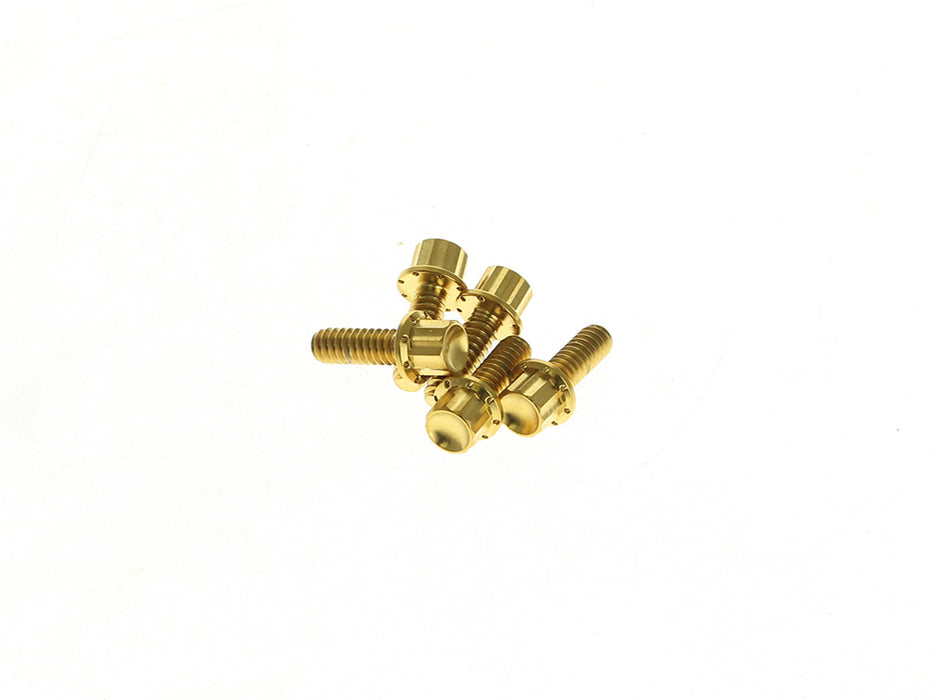 Titanium 12-Point Derby Cover Bolt Kit - Gold. Fits Softail 2018up