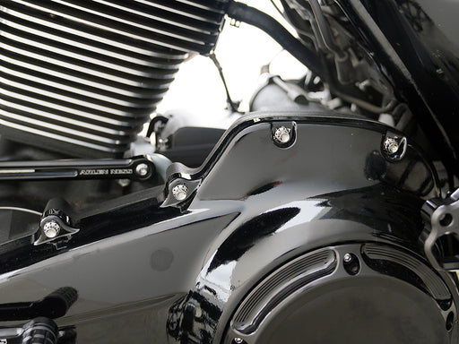 Titanium 12-Point Primary Cover Bolt Kit - Polished. Fits Softail 2007-2017 Non-240 Tyre Models & Touring 2017up