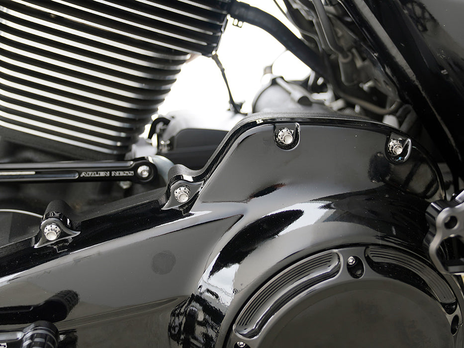 Titanium 12-Point Primary Cover Bolt Kit - Polished. Fits Softail 2007-2017 Non-240 Tyre Models & Touring 2017up