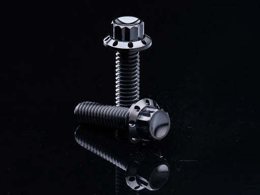 Titanium 12-Point Primary Cover Bolt Kit - Black. Fits Softail 2018up Non-240 Tyre Models