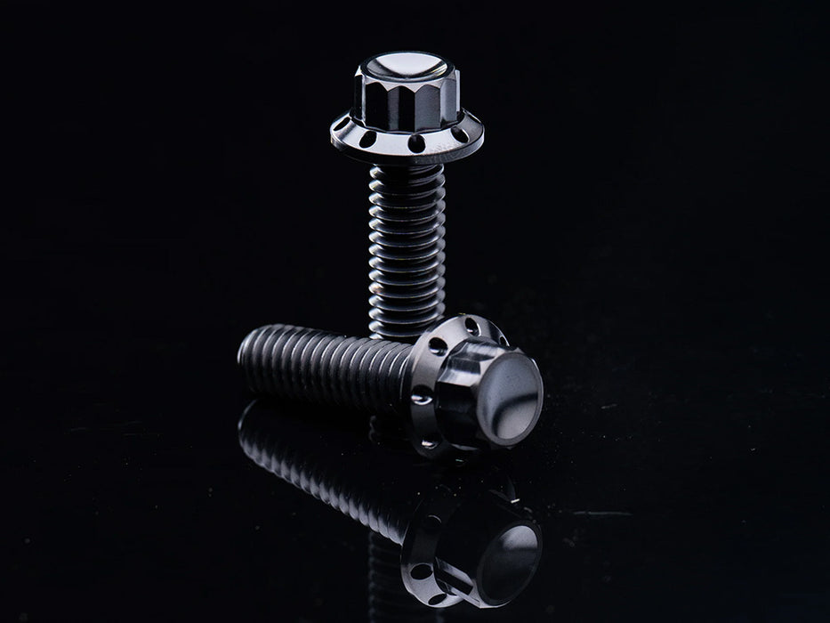 Titanium 12-Point Cam Cover Bolt Kit - Black. Fits Most Touring 2017-2024 & Softail 2018-2024