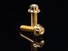 Titanium 12-Point Cam Cover Bolt Kit - Gold. Fits Most Touring 2017-2024 & Softail 2018-2024