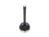 Intake Valve. Fits 883cc Sportster 1986-2003. OEM Replacement.