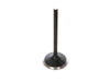 Intake Valve. Fits 1200cc Sportster 2004-2021. OEM Replacement.
