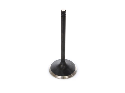 Intake Valve. Fits 1200cc Sportster 2004-2021. OEM Replacement.