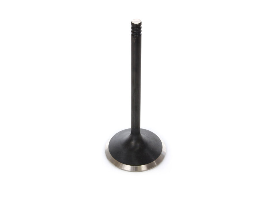 Intake Valve. Fits 1200cc Sportster 2004-2021. OEM Replacement.