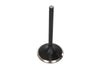 Intake Valve. Fits Merch Heads.