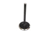 Intake Valve. Fits Big Twin 1984-2004. OEM Replacement.