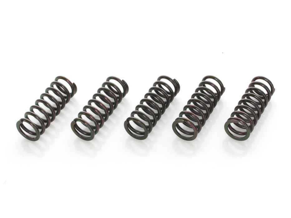 Extra Plate Clutch Kit. Fits Indian Tourers 2014-2020