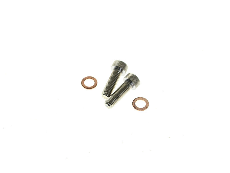 Damper Tube Screw & Washer Set. Fits Showa Forks, Most Big Twin 1975-2017 & Sportster 1987-2021