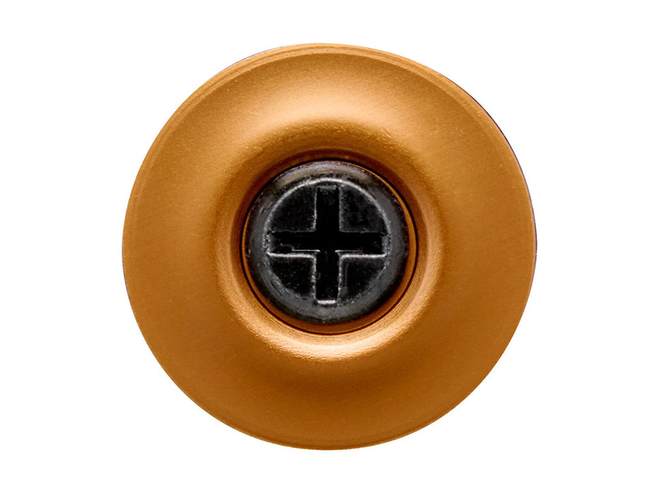 Hardware Kit - Black Screw with Bronze Baseplate. Fits Biltwell Tahoe Helmet