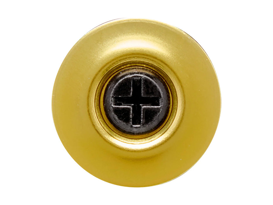 Hardware Kit - Black Screw with Gold Baseplate. Fits Biltwell Tahoe Helmet