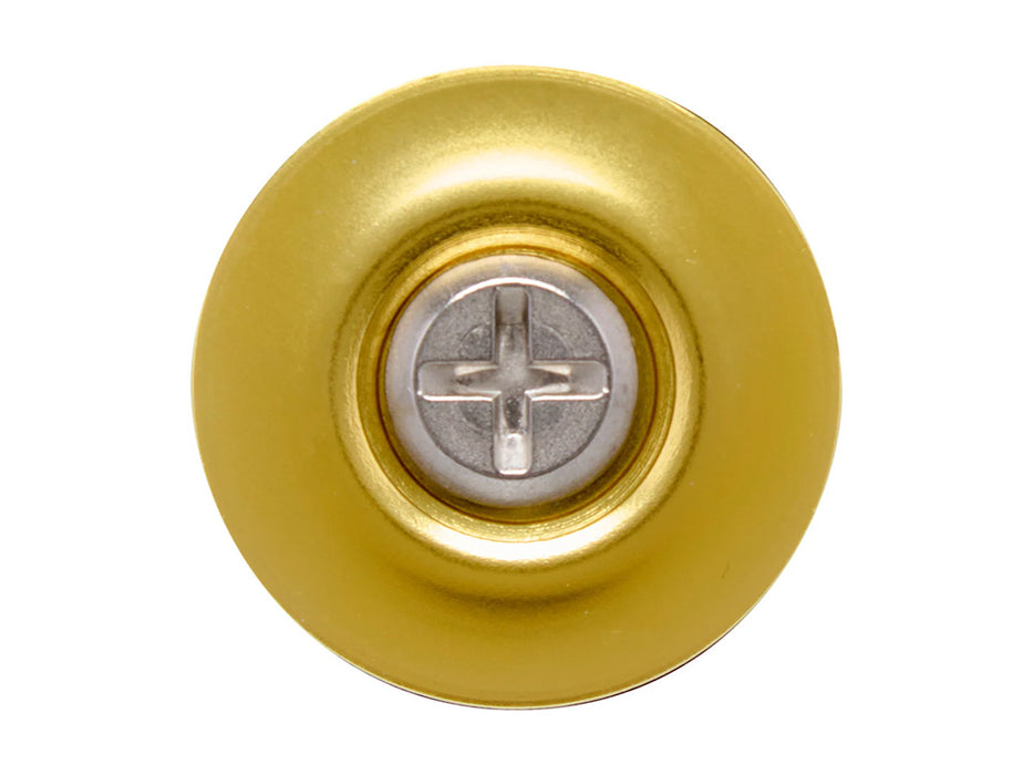 Hardware Kit - Stainless Screw with Gold Baseplate. Fits Biltwell Tahoe Helmet