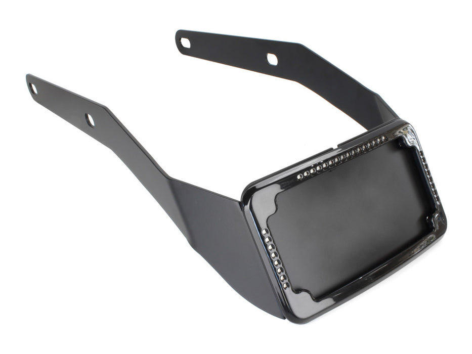 Tail Tidy Fender Eliminator Kit - Black with Run, Turn, Brake and Number Plate Lights. Fits Softail Sport Glide 2018-2024