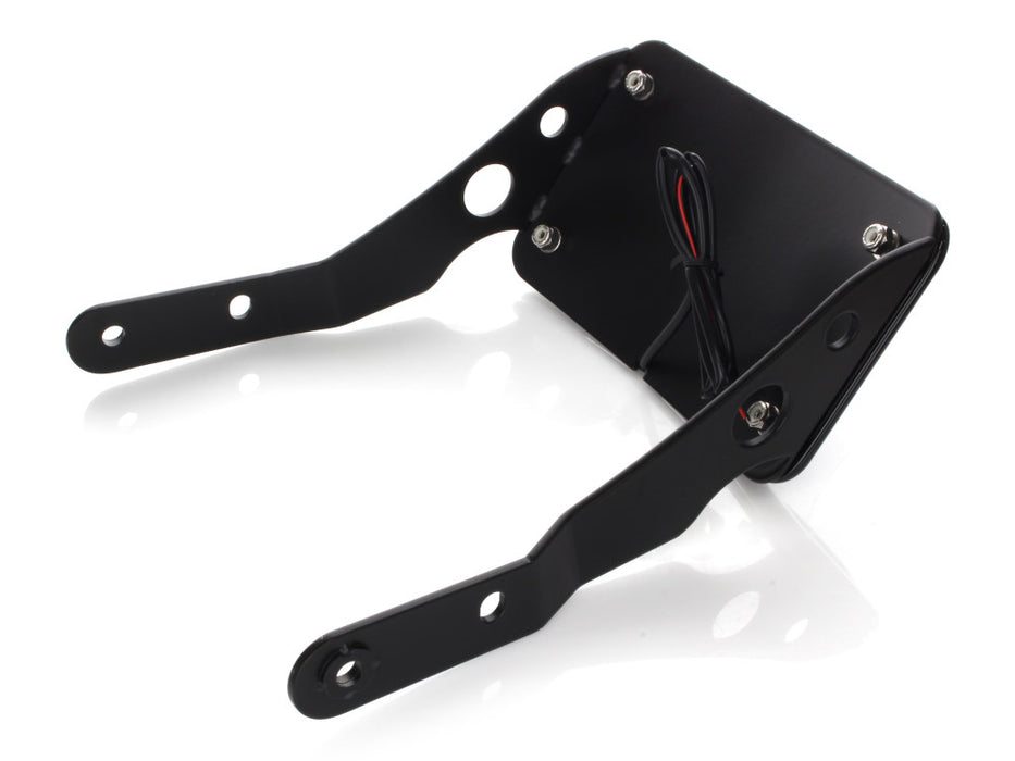 Tail Tidy Fender Eliminator Kit - Black with Number Plate Light Only. Fits Sportster 883 Iron 2009-2021, 1200 Iron 2018-2021, Forty-Eight 2010-2021, Seventy-Two 2012-2016 & 1200 Nightster 2009-2012