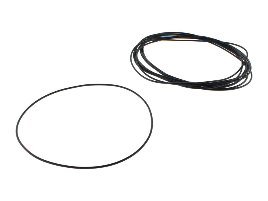 Alternator O'Ring - Pack of 10. Fits 5Spd Big Twin 1982-2006.
