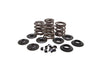 Valve Spring Kit. Fits Big Twin 1966-1977. .600in. Lift