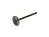 Exhaust Intake Valve. Fits Big Twin 1984-2004. High Flow .045in. Oversize Valve