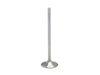 1.0mm Oversize Exhaust Valve. Fits Milwaukee-Eight 2017up. High Flow