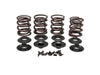 Valve Spring Kit. Fits Big Twin 1978-1984. .600in. Lift