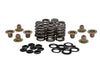 0.550in. Valve Spring Kit. Fits Milwaukee-Eight 2017up