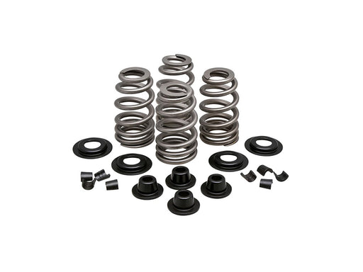 Valve Spring Kit. Fits Big Twin 1984-2004, Sportster & Buell 1986-2003. Beehive Springs with .610in. Lift