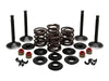 Valve & Spring Engine Kit. Fits Panhead Big Twin 1948-1965