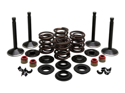 Valve & Spring Engine Kit. Fits Panhead Big Twin 1948-1965