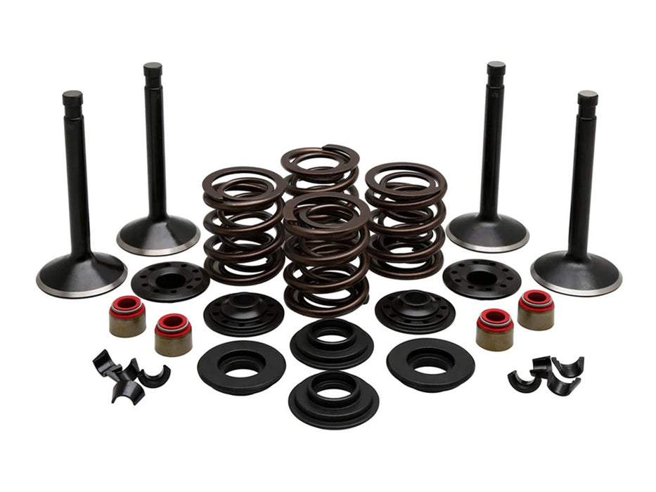 Valve & Spring Engine Kit. Fits Panhead Big Twin 1948-1965