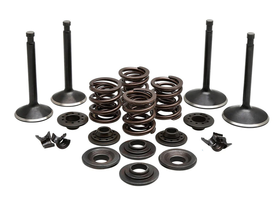 Valve & Spring Engine Kit. Fits Sportster 1957-1969