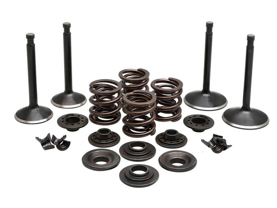 Valve & Spring Engine Kit. Fits Sportster 1970-1983
