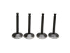 Valve Kit. Fits Big Twin 1966-1984