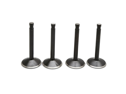 Valve Kit. Fits Big Twin 1966-1984