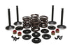 Valve & Spring Engine Kit. Fits 1200cc Big Twin 1966-1977