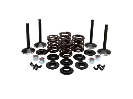 Valve & Spring Engine Kit. Fits 80ci Big Twin 1978-1984