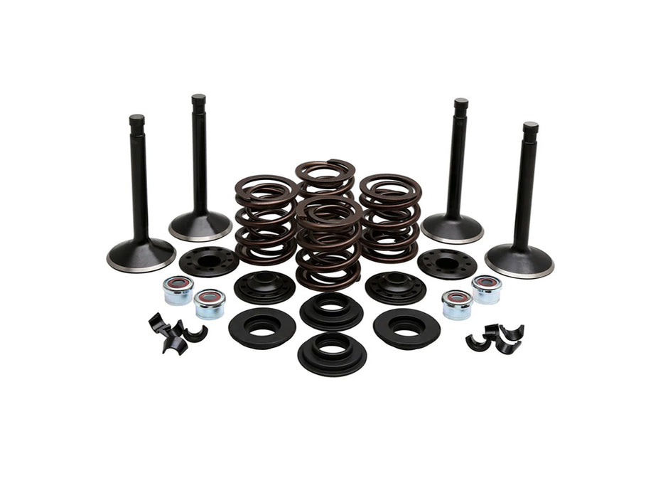 Valve & Spring Engine Kit. Fits 80ci Big Twin 1978-1984