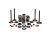 Valve & Spring Engine Kit. Fits Evolution Big Twin 1984-1999