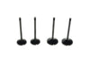 Valve Kit. Fits 1200cc Sportster 2004-2021
