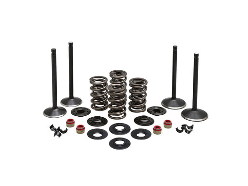 Valve & Spring Engine Kit. Fits Twin Cam 1999-2004